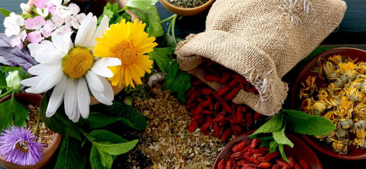 vertus medicinales