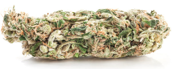 Fleurs de CBD