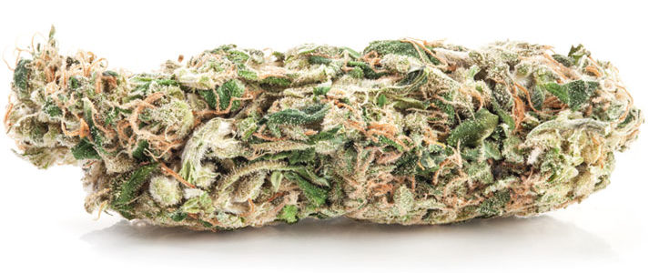 Fleurs de CBD